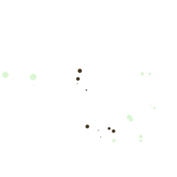 particula product G