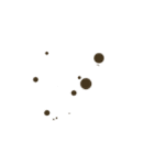 particula product I