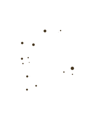 particula product M