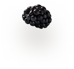 grid-recetas fruit A